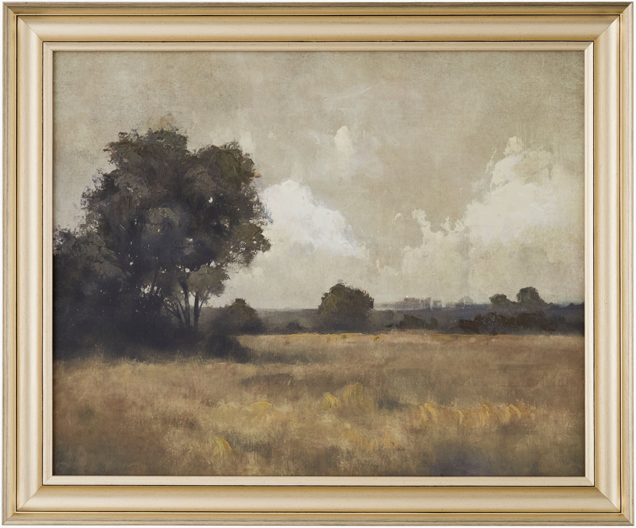 Grassy Plains Framed Art